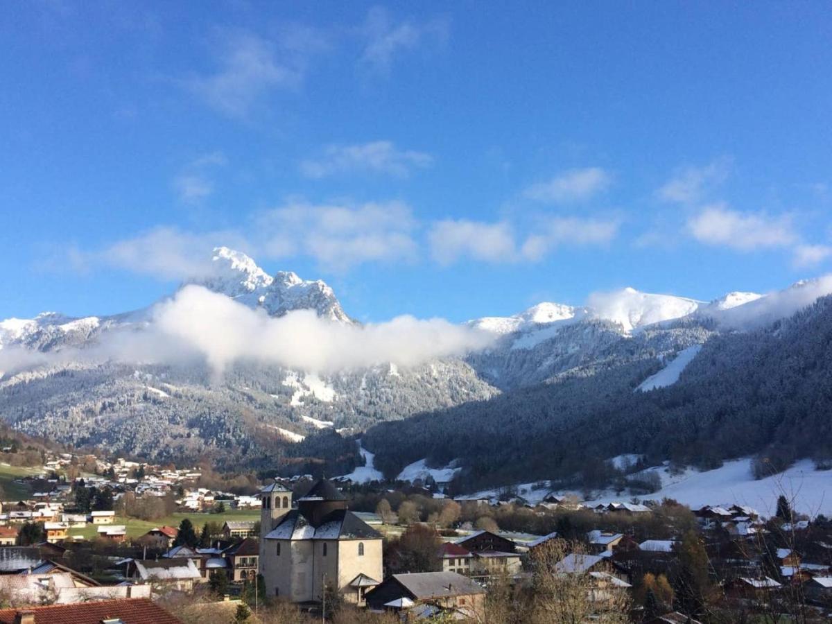 Le 67,Ski Et Randonnee,Lave Linge,Seche Linge,Parking Bernex Buitenkant foto