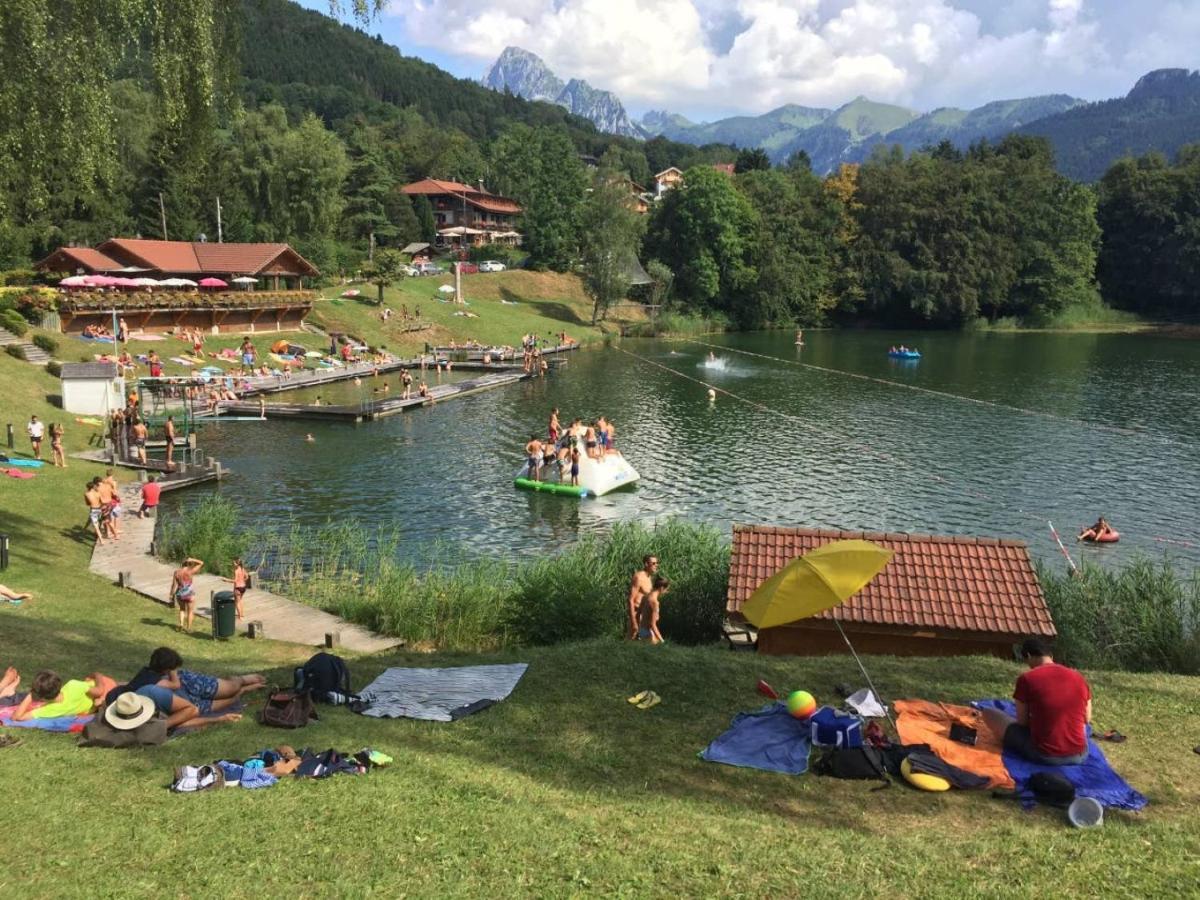 Le 67,Ski Et Randonnee,Lave Linge,Seche Linge,Parking Bernex Buitenkant foto
