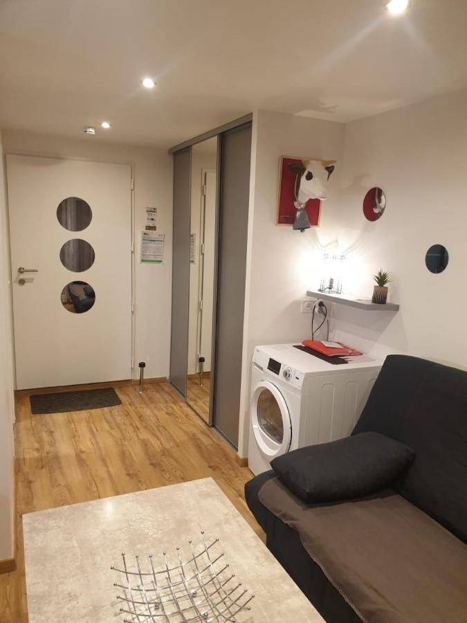 Le 67,Ski Et Randonnee,Lave Linge,Seche Linge,Parking Bernex Buitenkant foto