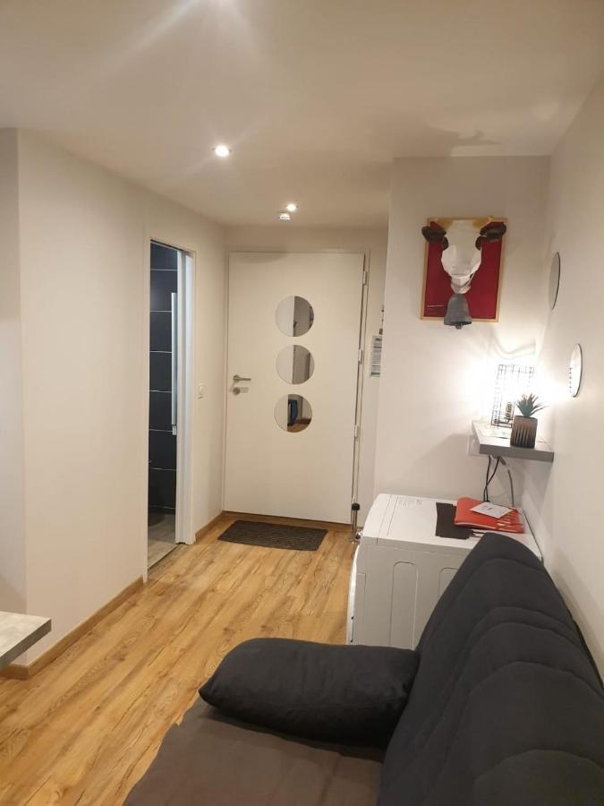 Le 67,Ski Et Randonnee,Lave Linge,Seche Linge,Parking Bernex Buitenkant foto